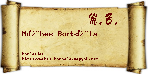 Méhes Borbála névjegykártya